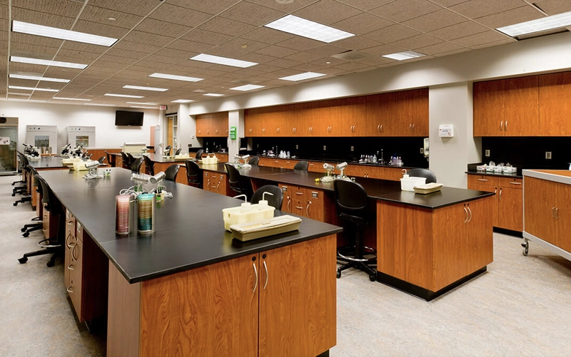 Commercial solid surface reception counter in a modern office interior