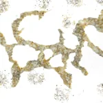 EM9007 Quartz Slab