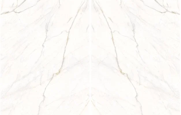 D081T Bianco Venato Porcelain Slab
